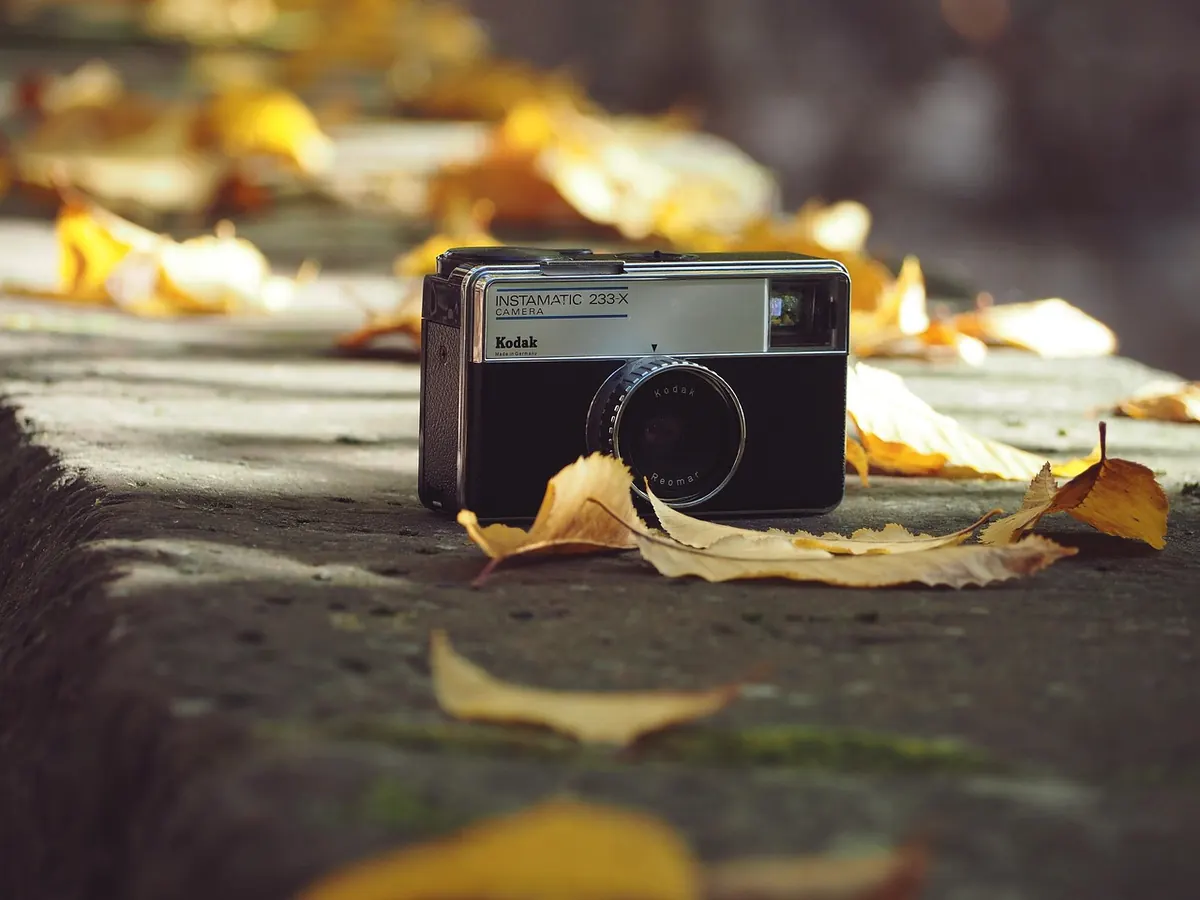 Autumn Photography Checklist: Capturing Seasonal Colours for Your Portfolio